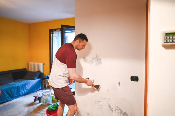 Best Crawl Space Mold Removal  in Winton, CA