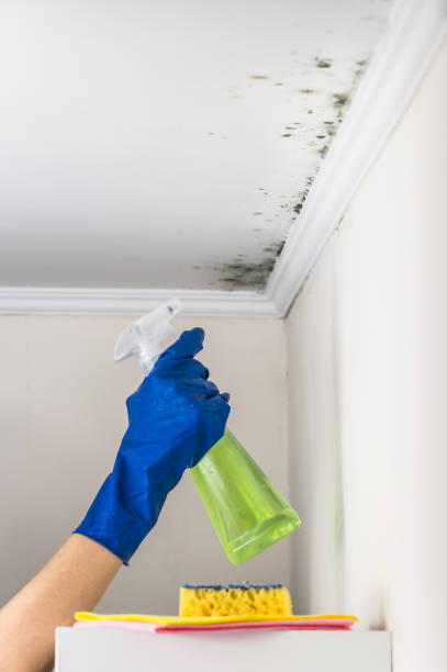 Crawl Space Mold Removal in Winton, CA